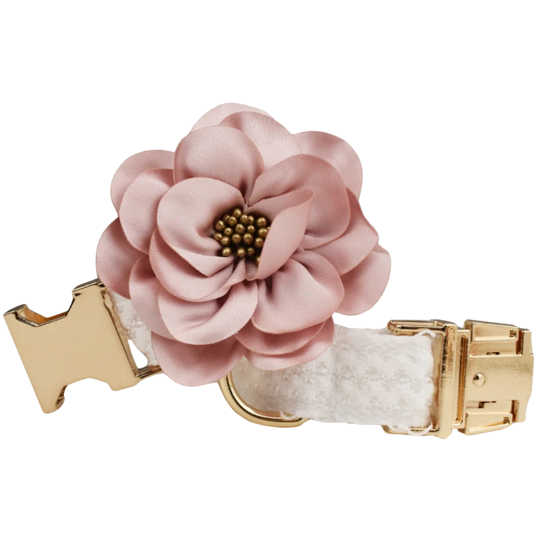 🌸 ROSE IVORY COLLAR & FLOWER