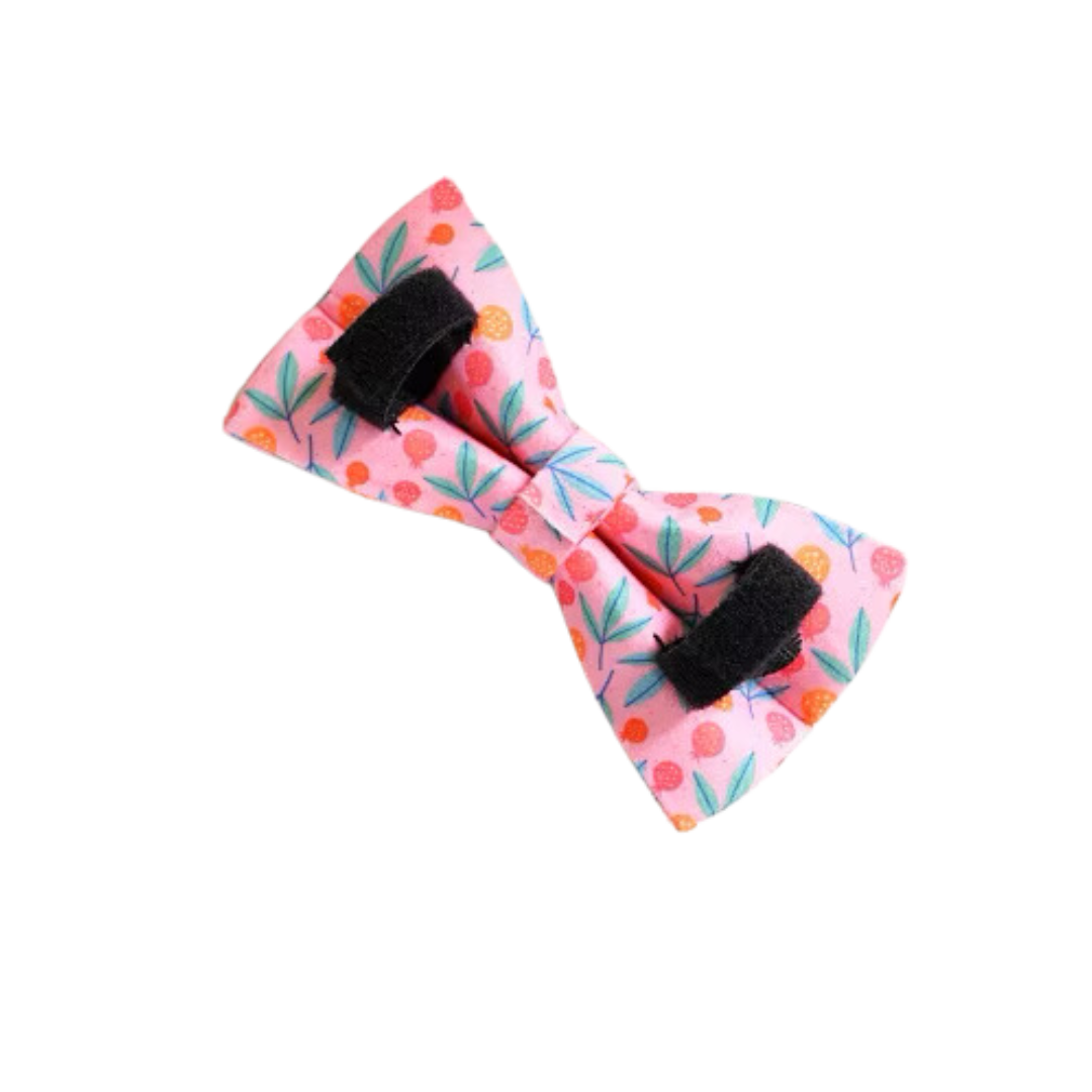 🍑 BERRY BLOSSOM COLLAR & BOW