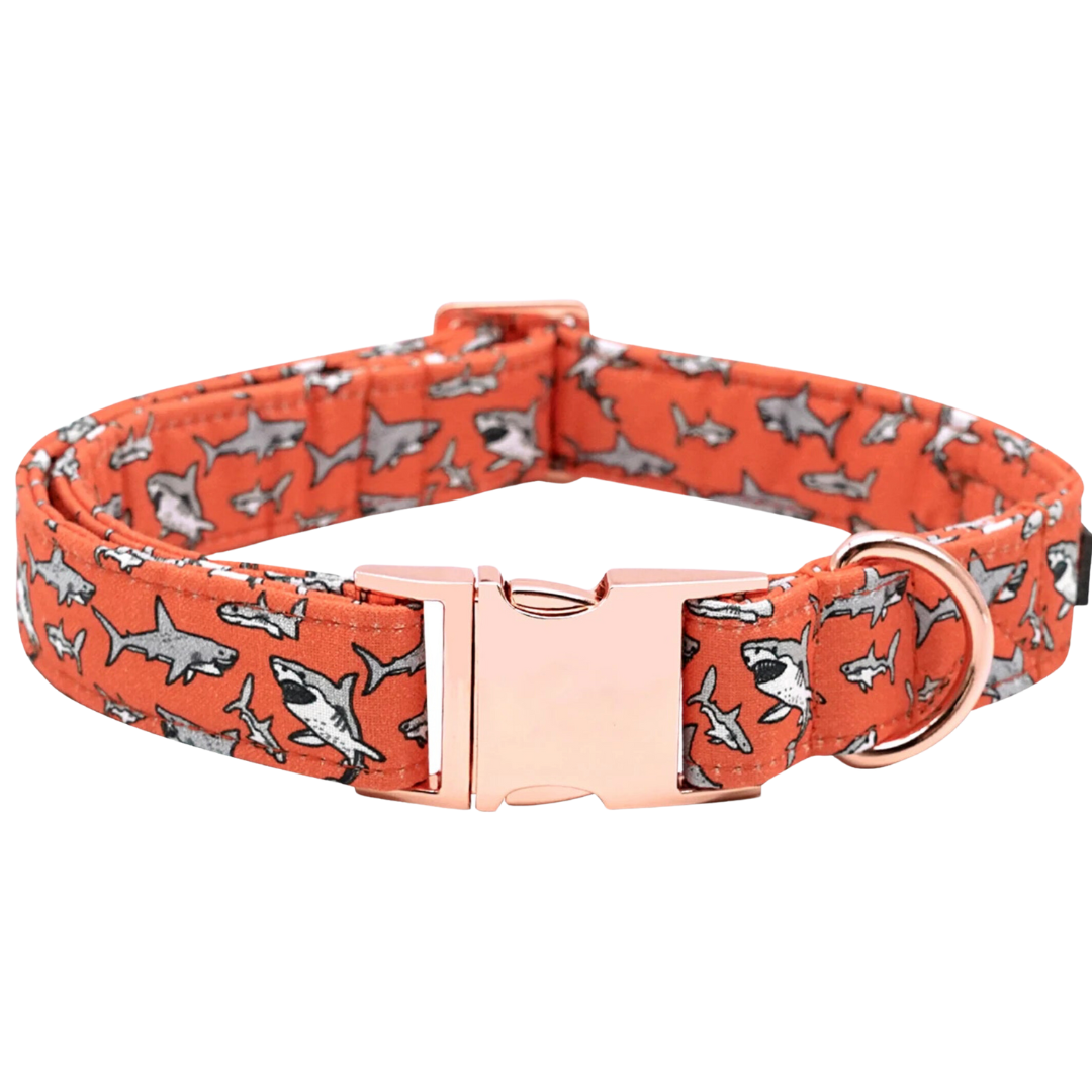 🦈🔥 SHARK FRENZY COLLAR & BOW