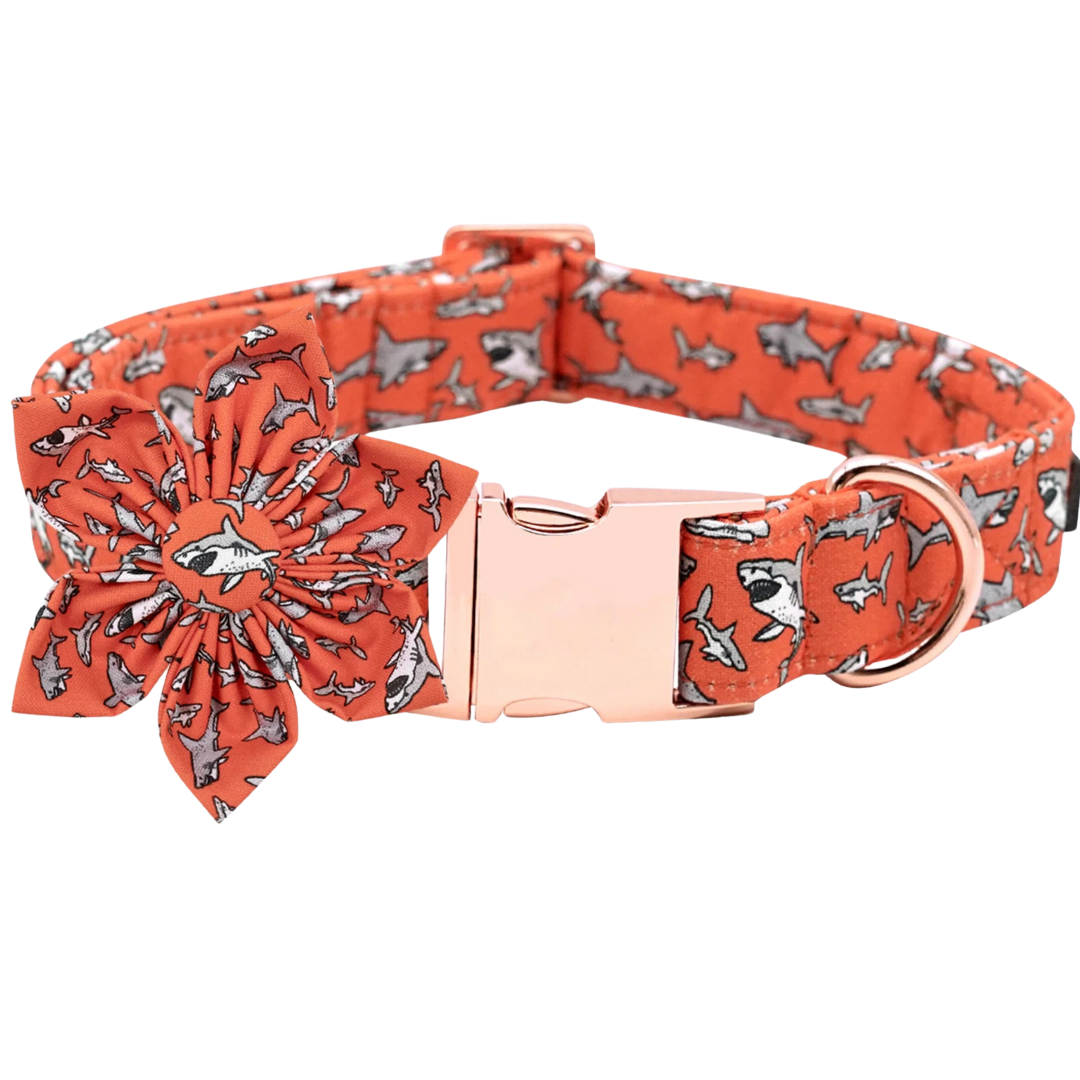 🦈🔥 SHARK FRENZY COLLAR & BOW