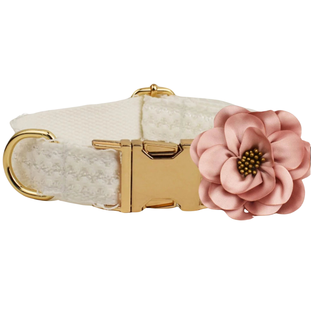 🌸 ROSE IVORY COLLAR & FLOWER