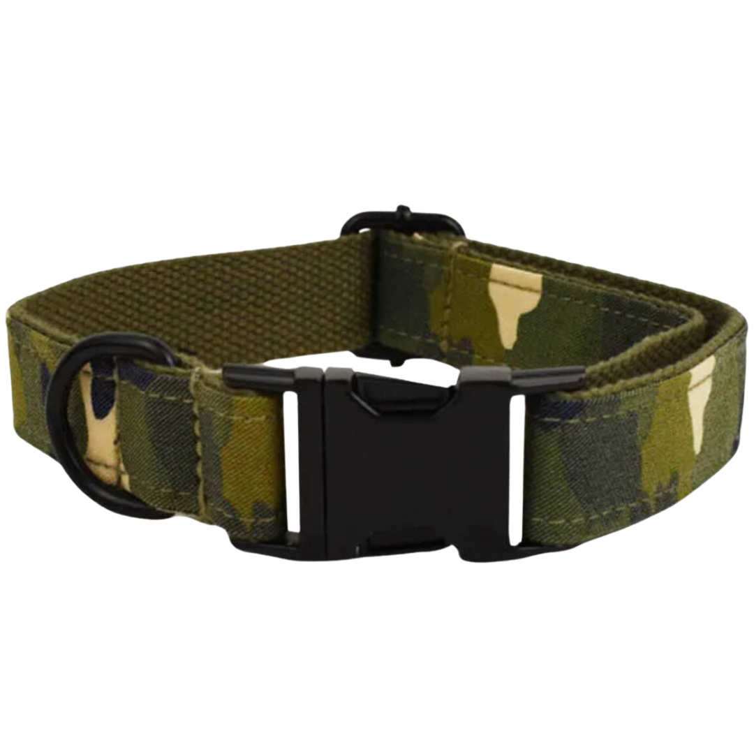 🎖️🌿 THE CAMO COLLAR & BOW (Copy)