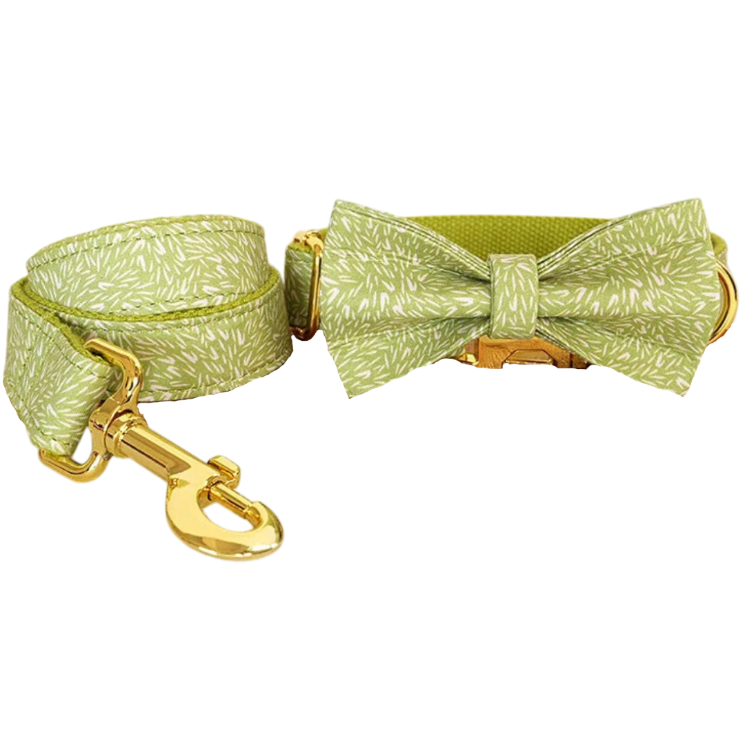 🌿 WILLOW BREEZE COLLAR BOW & LEASH SET