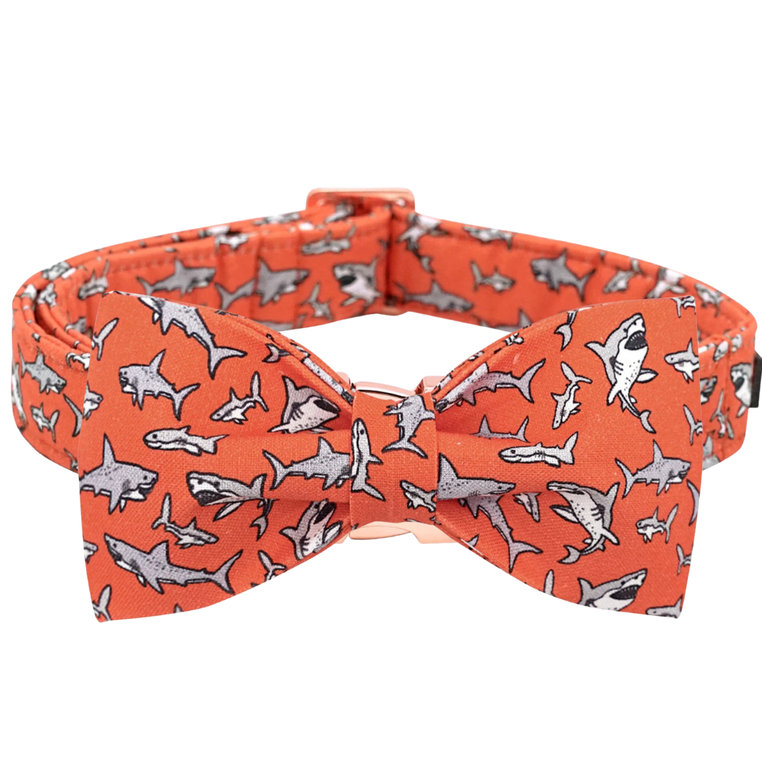 🦈🔥 SHARK FRENZY COLLAR & BOW
