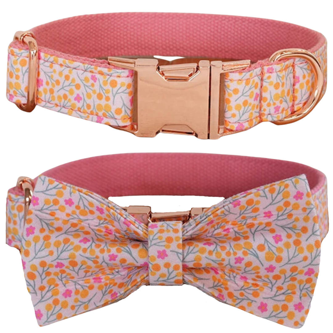 🌸 WILD FLOWER WHISPER COLLAR BOW & LEASH SET