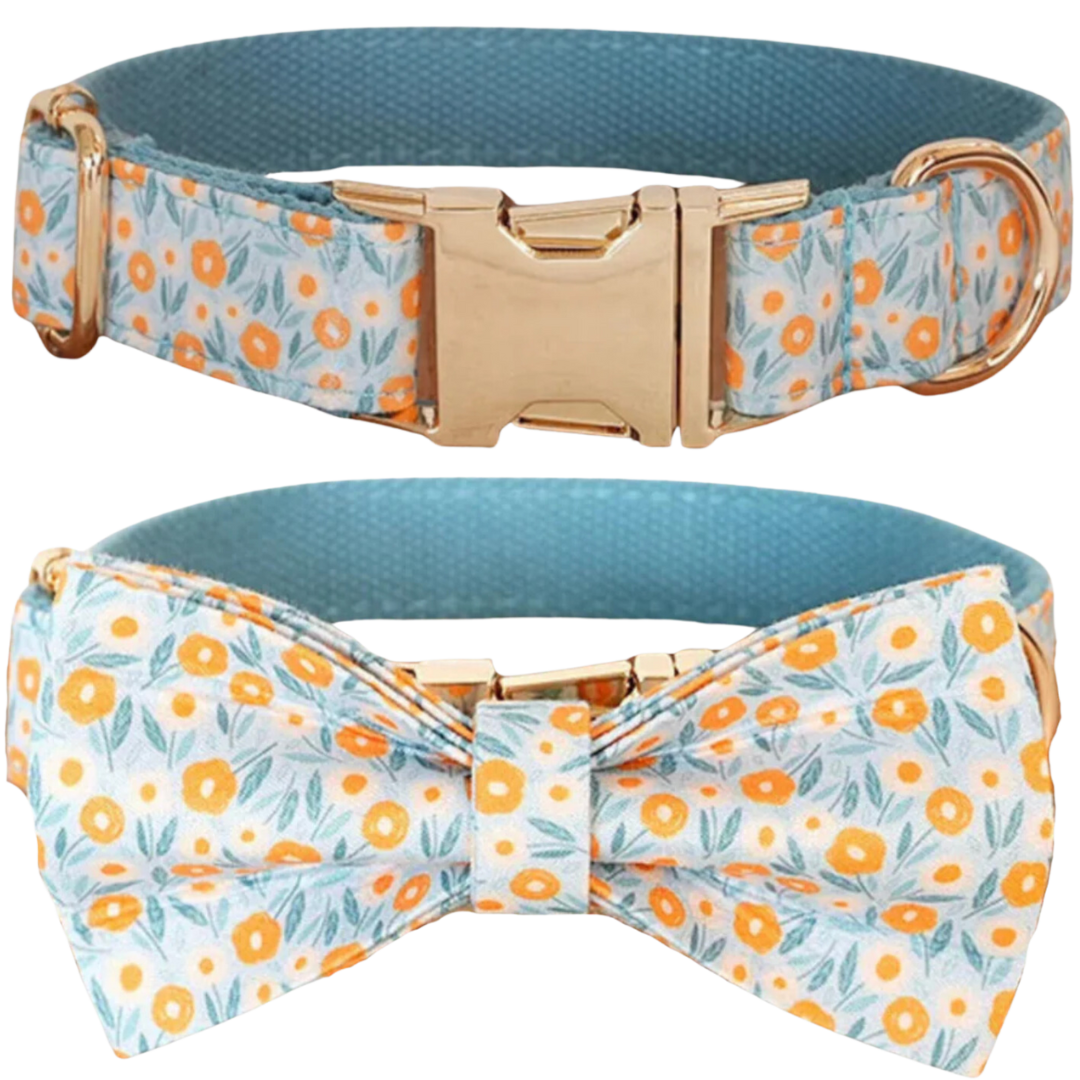 🌻 SKY SUN FLOWERS COLLAR & BOW