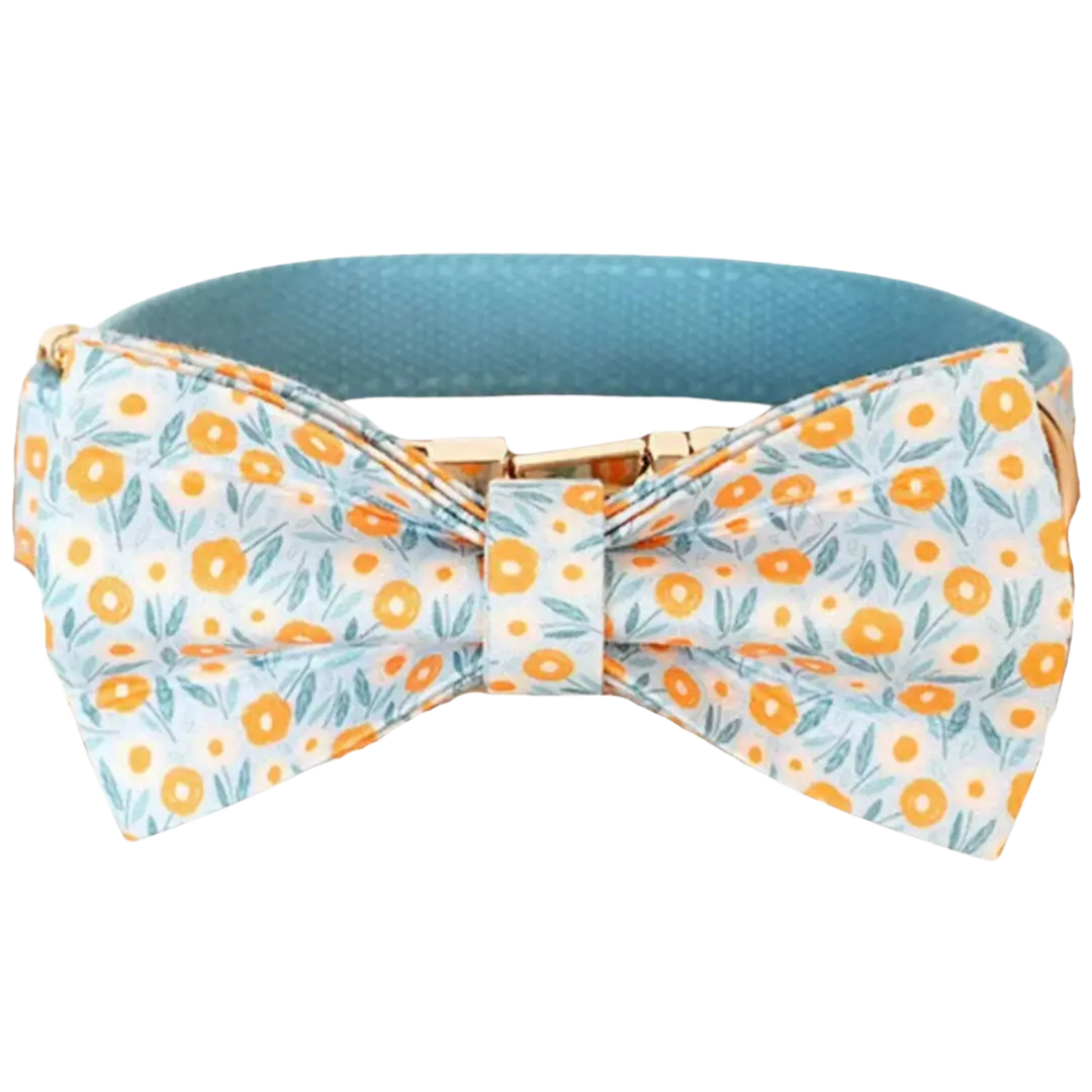 🌻 SKY SUN FLOWERS COLLAR & BOW