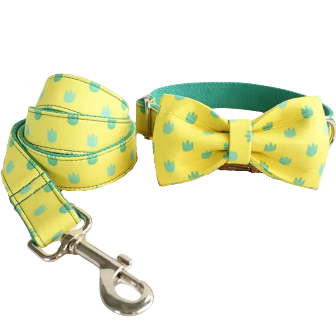 🦖 DINO TRACKS COLLAR BOW & LEASH SET (LIMITED EDITION)