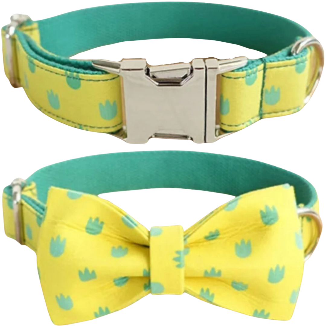 🦖 DINO TRACKS COLLAR BOW & LEASH SET (LIMITED EDITION)
