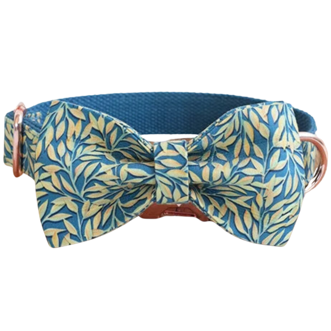 🌟GOLDEN WILLOW COLLAR & BOW