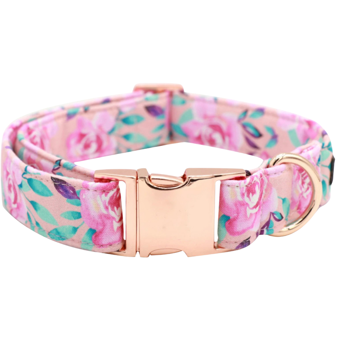 🌸✨ ROSETTE BLOOM COLLAR & BOW