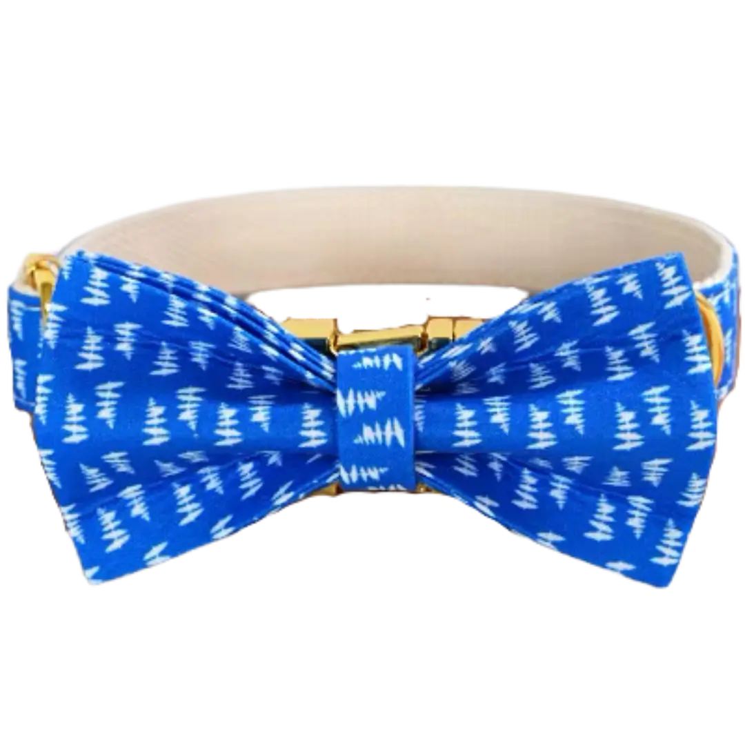 💙 SAPPHIRE FERN COLLAR & BOW