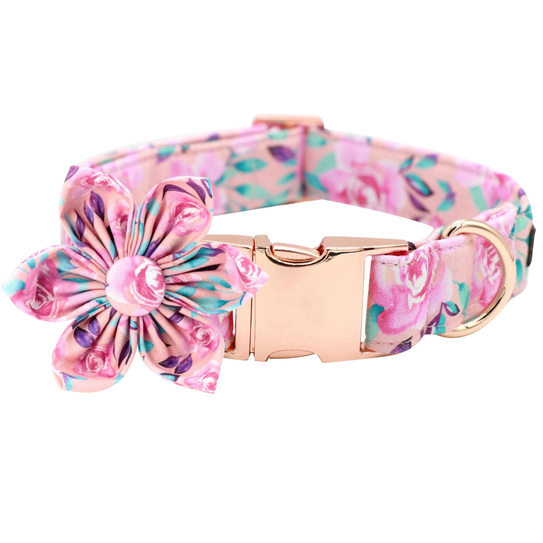 🌸✨ ROSETTE BLOOM COLLAR & BOW
