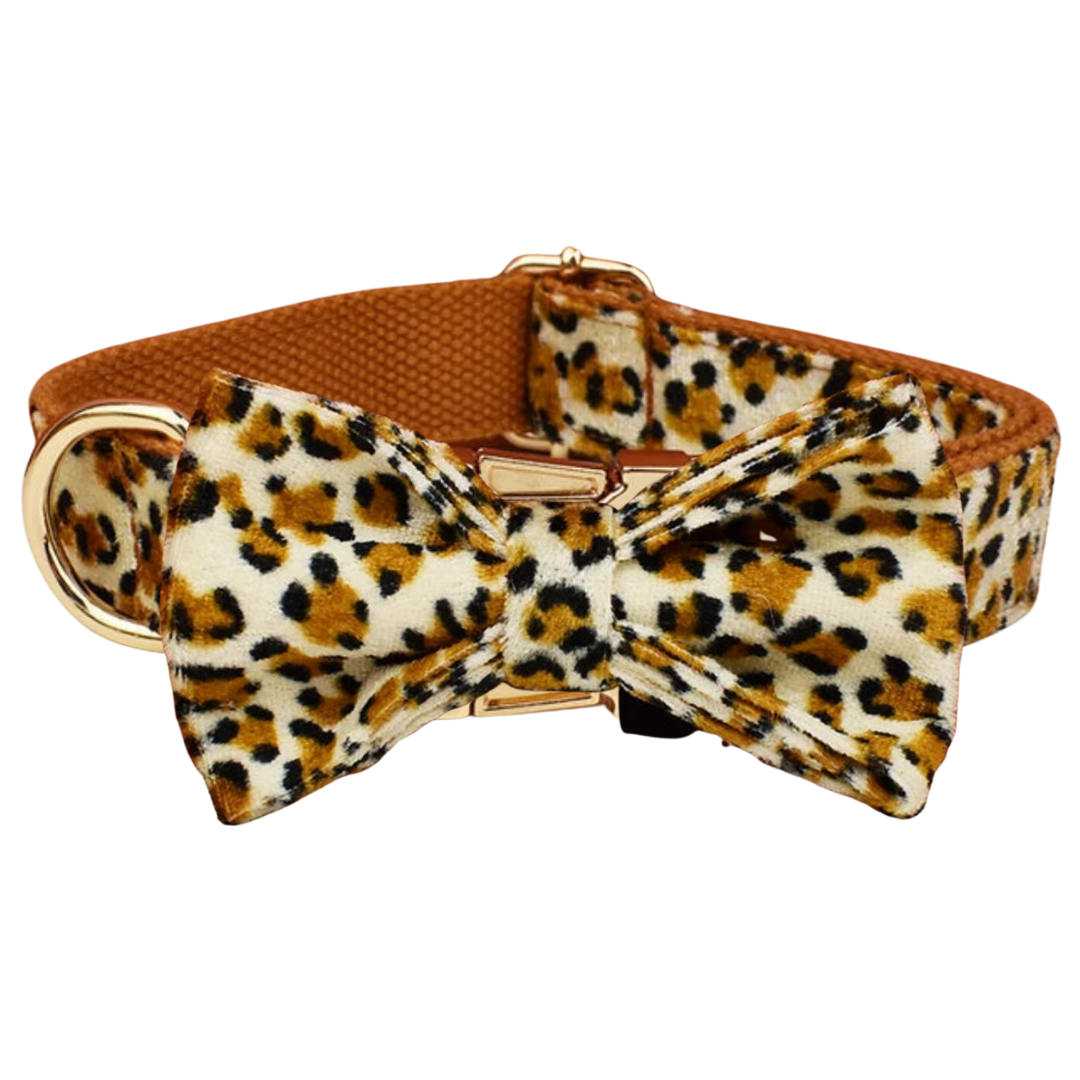 🐆 THE LEOPARD COLLAR & BOW