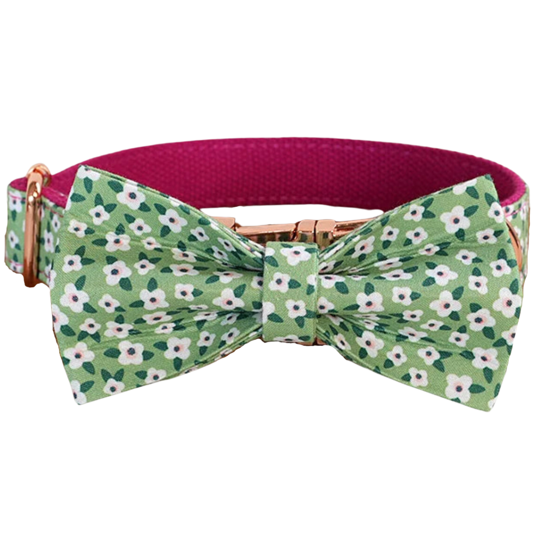 🌸 SPRING CLOVER COLLAR & BOW