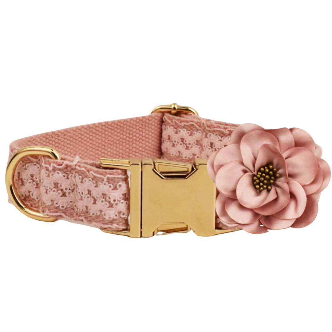 🌸✨ BLUSH LACE COLLAR & FLOWER